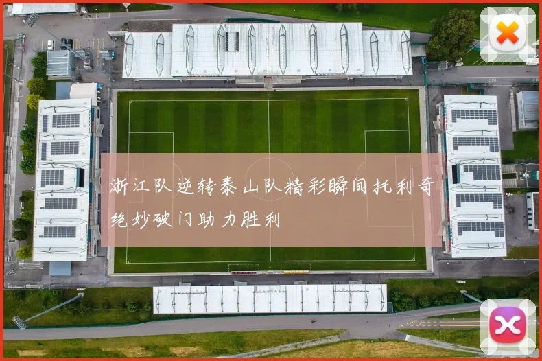 浙江队逆转泰山队精彩瞬间托利奇绝妙破门助力胜利